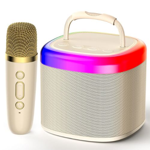 Enceinte Karaoké Familiale: Micros Doubles, Bluetooth, Son HIFI