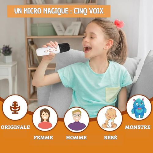 Enceinte Karaoké Familiale: Micros Doubles, Bluetooth, Son HIFI