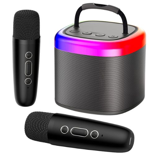 Enceinte Karaoké Familiale: Micros Doubles, Bluetooth, Son HIFI