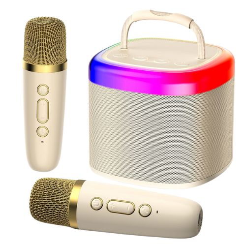 Enceinte Karaoké Familiale: Micros Doubles, Bluetooth, Son HIFI