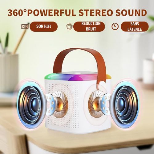 Enceinte Karaoké Familiale: Micros Doubles, Bluetooth, Son HIFI