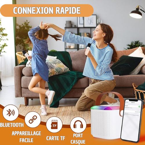 Enceinte Karaoké Familiale: Micros Doubles, Bluetooth, Son HIFI