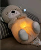Ma loutre calin