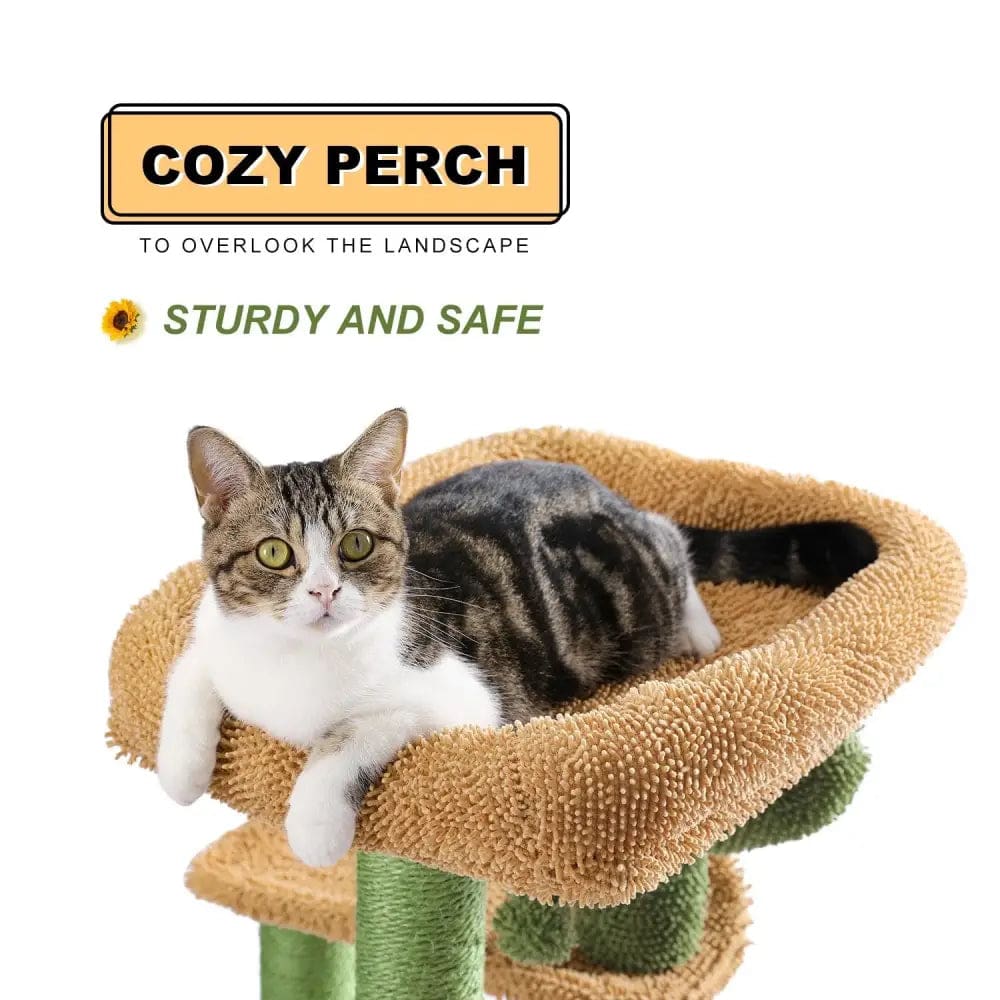 Arbre Maison de jeu pour chat