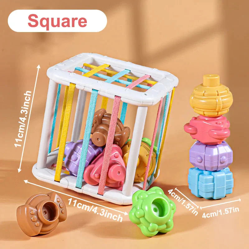 Jeu de Tri de Blocs aux Formes Colorées pour Bébés - Montessori