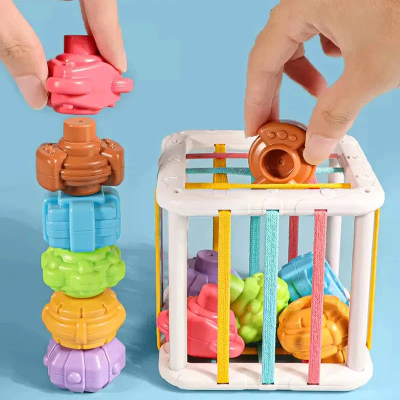 Jeu de Tri de Blocs aux Formes Colorées pour Bébés - Montessori