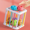 Jeu de Tri de Blocs aux Formes Colorées pour Bébés - Montessori