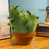 Peluche Cactus