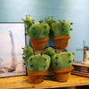 Peluche Cactus