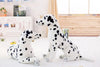 Peluche Chien Dalmatien