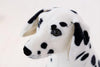 Peluche Chien Dalmatien