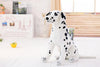 Peluche Chien Dalmatien