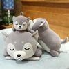 Peluche Chien Husky