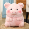 Peluche Cochon Mignon