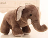 Peluche Éléphant Bébé