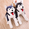 Peluche Husky XXL