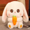 Peluche Lapin Kawaii