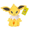 Peluche Pokemon - Attrapez les tous !