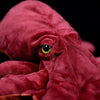 Peluche Poulpe
