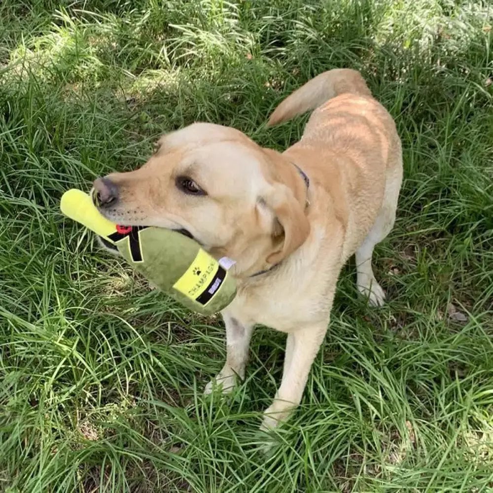 Peluche pour chien Jouet à mâcher