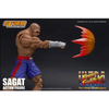 Figurine Street Fighter Ultra Sagat