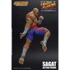 Figurine Street Fighter Ultra Sagat