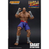Figurine Street Fighter Ultra Sagat