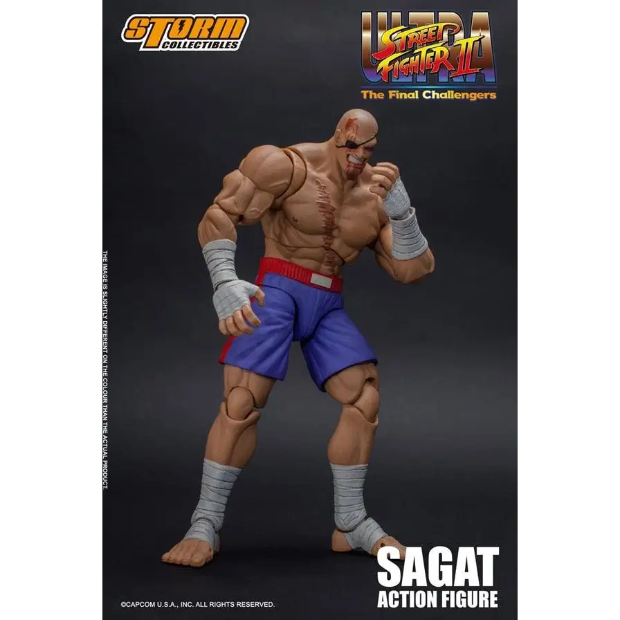 Figurine Street Fighter Ultra Sagat