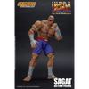 Figurine Street Fighter Ultra Sagat