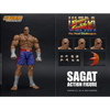 Figurine Street Fighter Ultra Sagat