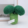 Jouets Peluche Brocoli pour Chien ou Chat