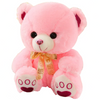 Ours en peluche Douce