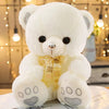 Ours en peluche Douce