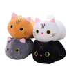 Peluche Chat Kawaii Anime