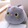 Peluche Chat Kawaii Anime