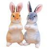 Peluche Lapin longues oreilles