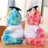 Peluche Teddy Cadeau Diplômé