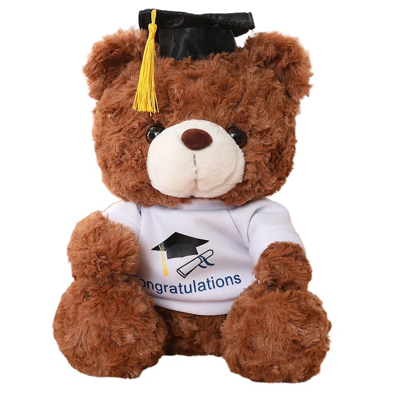 Peluche Teddy Cadeau Diplômé