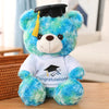 Peluche Teddy Cadeau Diplômé