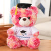 Peluche Teddy Cadeau Diplômé