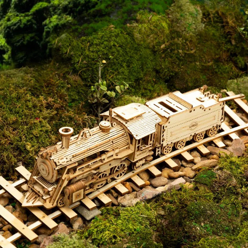 Collection de Puzzles 3D en Bois de Qualité