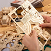 Collection de Puzzles 3D en Bois de Qualité