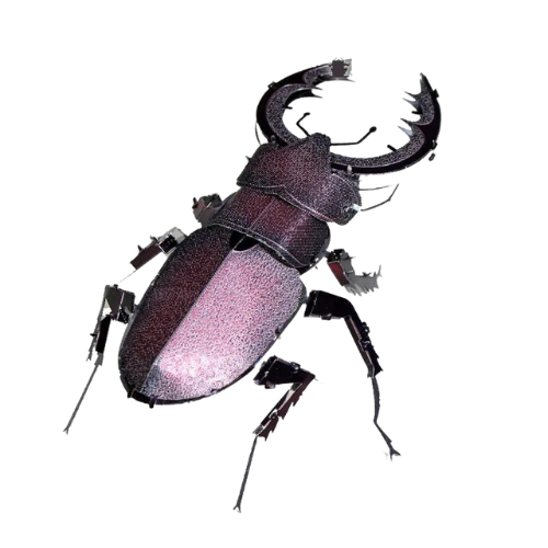 Puzzle 3D d'Insectes