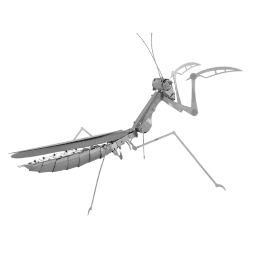 Puzzle 3D d'Insectes