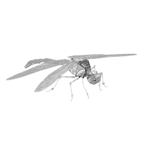 Puzzle 3D d'Insectes