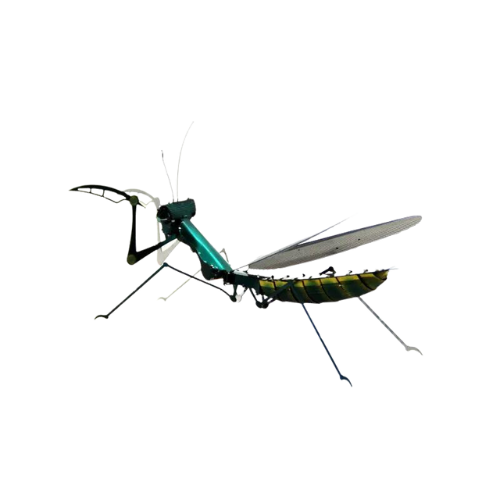 Puzzle 3D d'Insectes