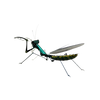 Puzzle 3D d'Insectes