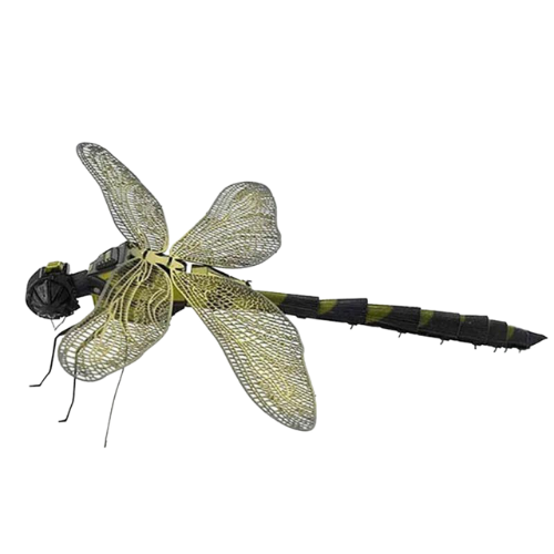 Puzzle 3D d'Insectes