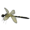 Puzzle 3D d'Insectes