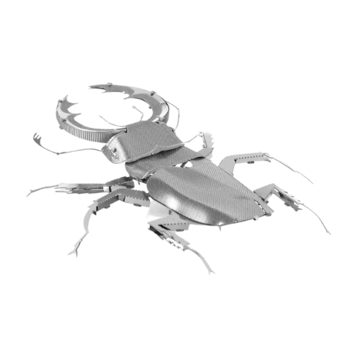 Puzzle 3D d'Insectes